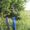 Medlemskab - Image 3